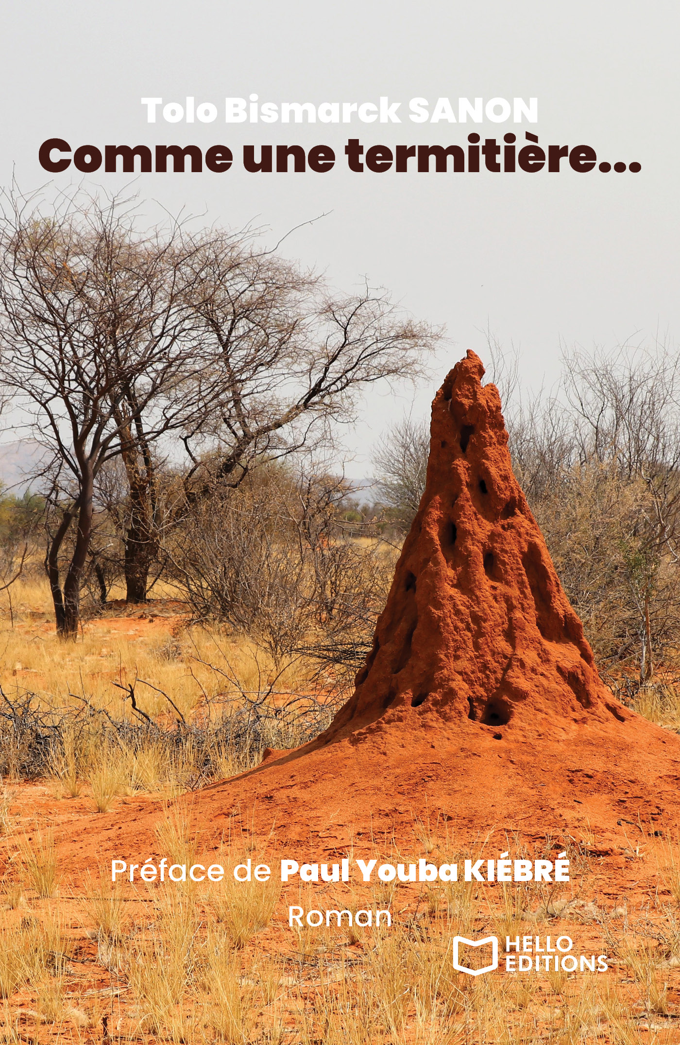 Comme une termitière