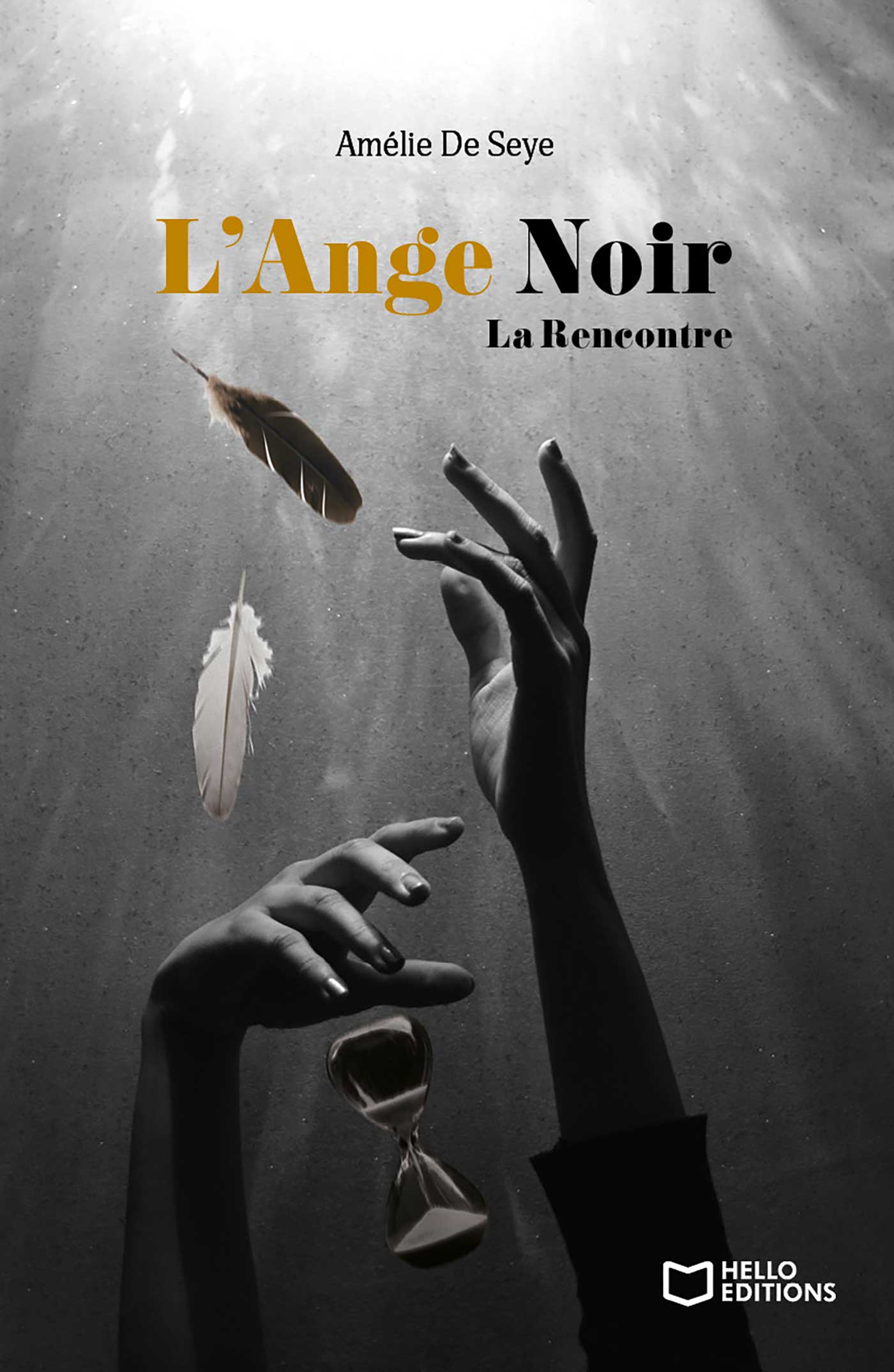 L’Ange Noir – Tome I La Rencontre