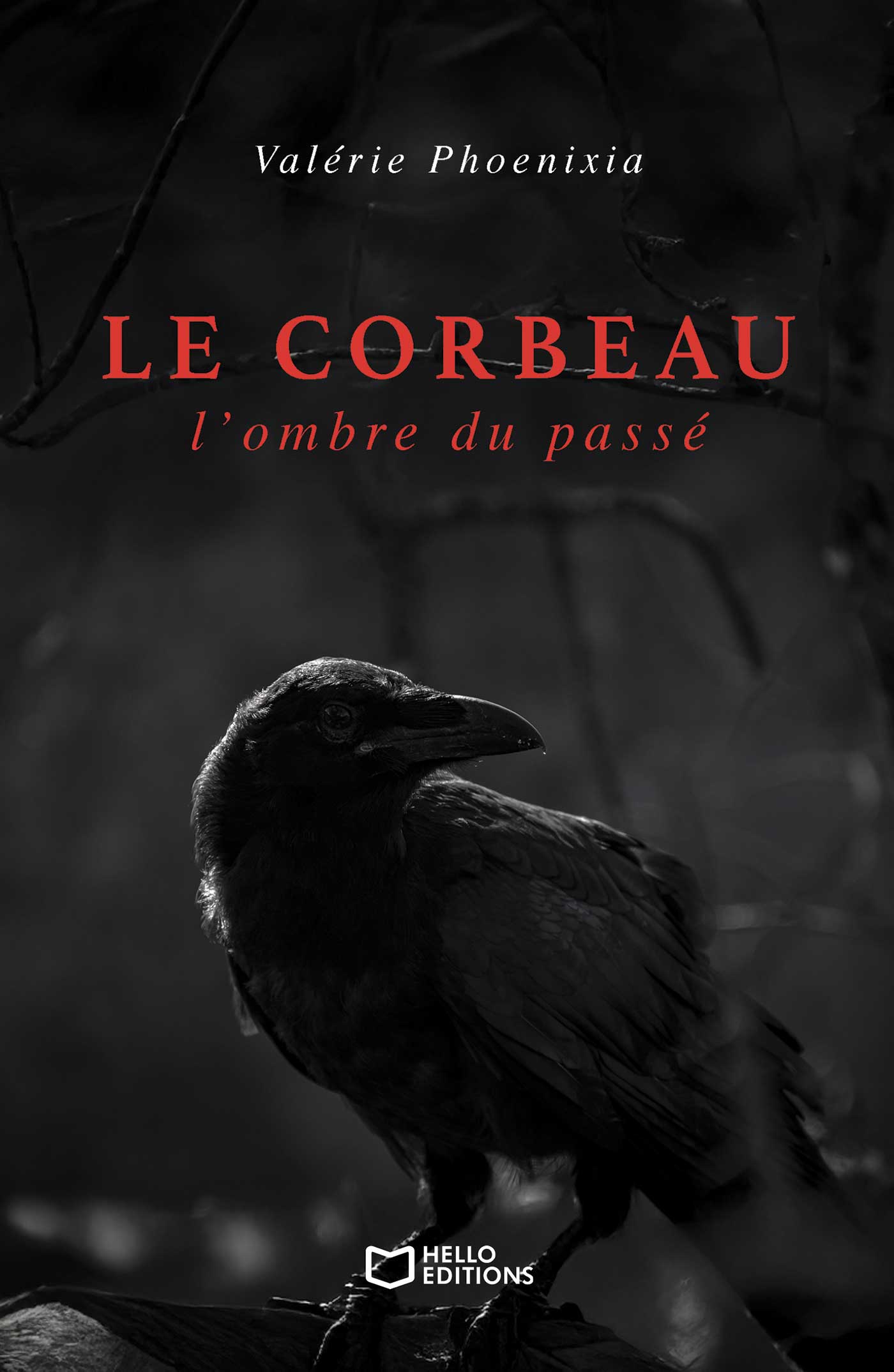 Le corbeau : l’ombre du passé